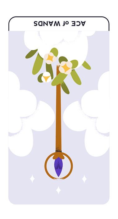 ace of wands